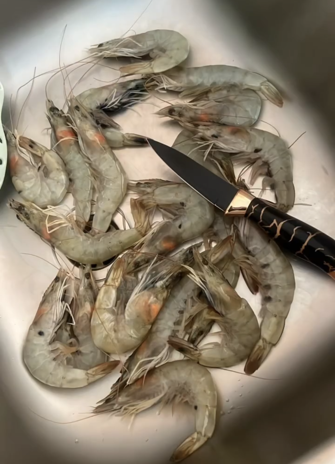 Whole fresh raw shrimp with tails attached, ready to be cleaned and deveined